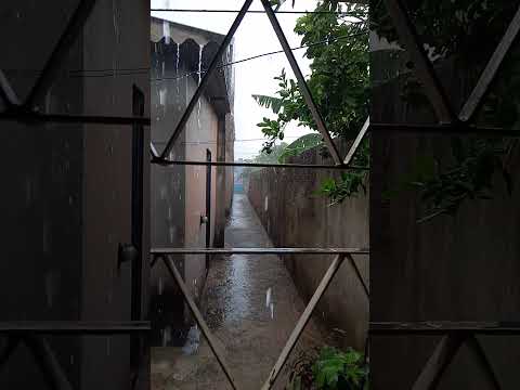 Vamos De Short De Uma Chuva ☂️ Maravilhosa Em Águas Lindas De Goiás, Espero Que Gostem Do Conteúdo