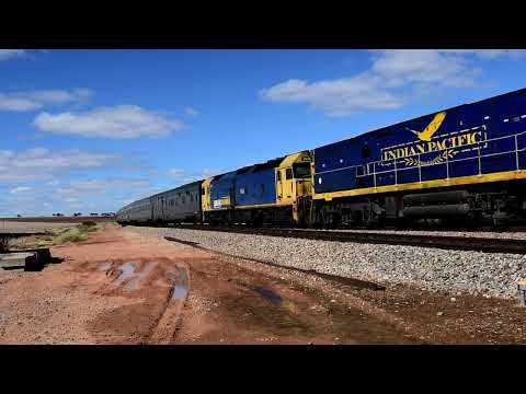 The Indian Pacific (4SA8)