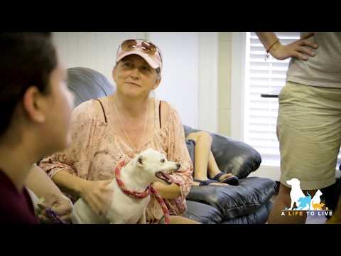 A LIFE TO LIVE ANIMAL SHELTER AND ADOPTION CENTER - No-Kill Baytown