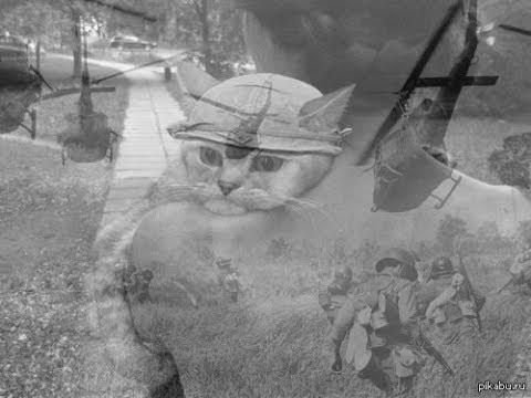 Steam Workshop::BOIIII