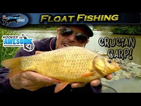 Float Fishing for Crucian Carp | TAFishing