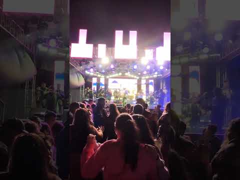 Maya excelsior en San Manuel Chaparrón, Jalapa