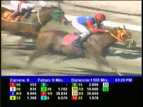 Resumen Sabado, 16 de Febrero de 2013 - La Rinconada