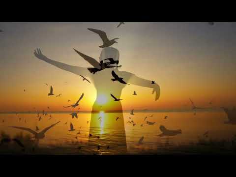 Alok, Ellie Goulding - All By Myself (Club Mix)