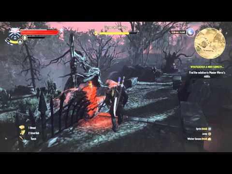 The Witcher 3 Hearts of Stone - How To Solve Master Mirror's Riddle