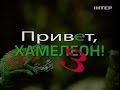 Привет/Приват, хамелеон! - 3 - Документальные проекты - Интер 