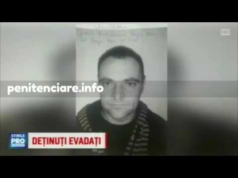 Detinuti evadati protv
