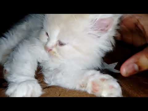 🥰🥰🥰🥰🥰🥰