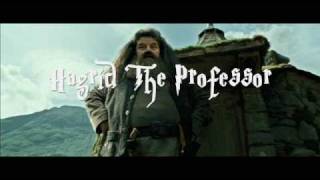 Hagrid the Professor