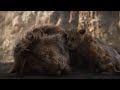 The Lion King Mufasa Sad Whatsapp Status Mufasa Dead Feet In The End