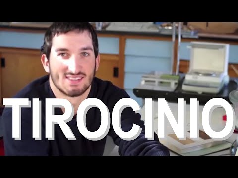 Tirocinio presso CNR IVALSA San Michele all'Adige