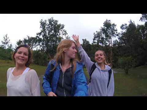 download lagu mp3 mp4 Travel Point Tours Mauritius, download lagu Travel Point Tours Mauritius gratis, unduh video klip Travel Point Tours Mauritius