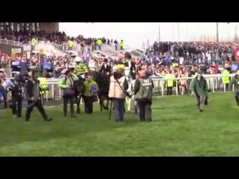 Cos Me Is Black and Bounce at Aintree