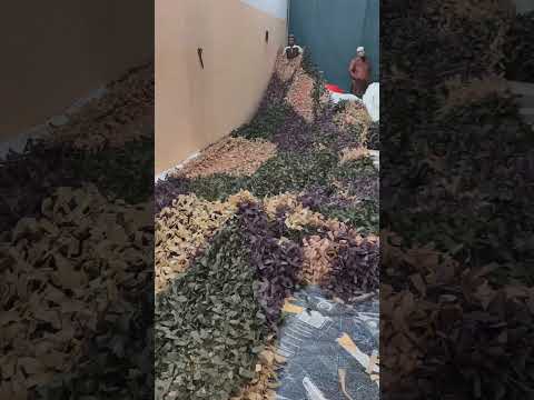 Camouflage Net