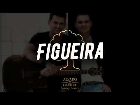 Figueira video