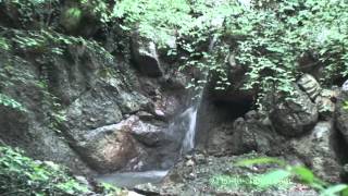 preview picture of video 'Водопады Крыма / Crimea waterfalls'