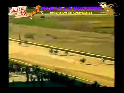 VALENCIA 8 CARRERA VIERNES 23 DE ENERO 2015