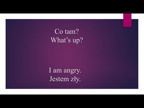 Dialogues for beginners - Learn Polish (basic Sentences and Words in Polish Language 2)