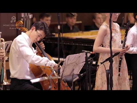 Tchaikovsky "Pas de Deux" for cello and orhcestra