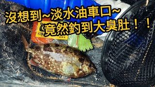 【淡水河釣魚】淡水河裡除了大臭肚，竟然還有這個游進來!!!｜蝦皮愛釣魚