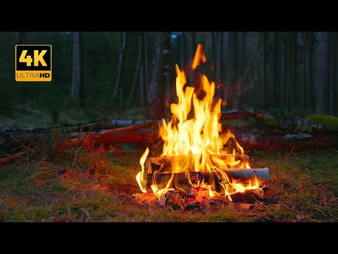 4K 📺 Campfire in the deep Forest🌲Mysterious Calming Ambiance