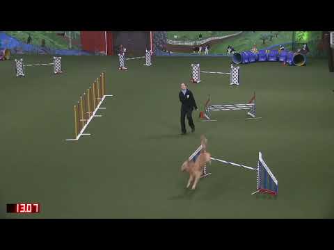 Yashica OpenJWW 121921