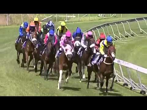 2016.01.09 Cartier Politician Stakes (RSA) - Black Arthur