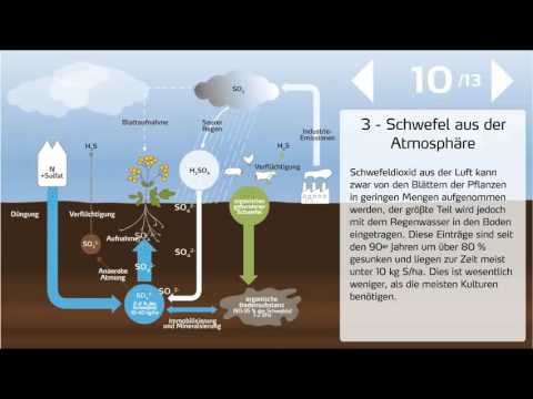 Der Schwefelkreislauf in der Landwirtschaft