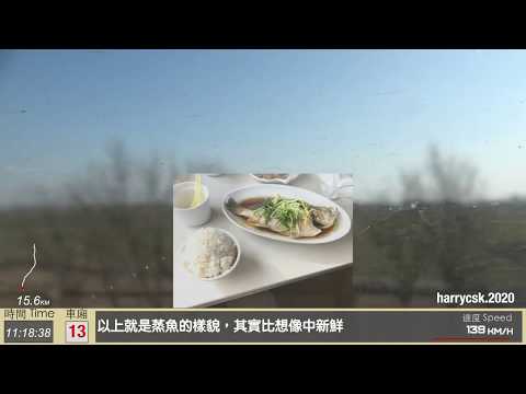 【CR View】（160km/h）京深直特 Beijing-Shenzhen Train Z108 次：衡水 Hengshui - 北京西 Beijing Xi