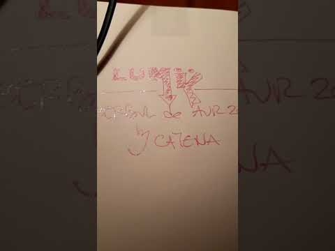 Cerbul de Aur 2018 Un Sherck Muzical Buzos  in Piata Sfatului din Brașov