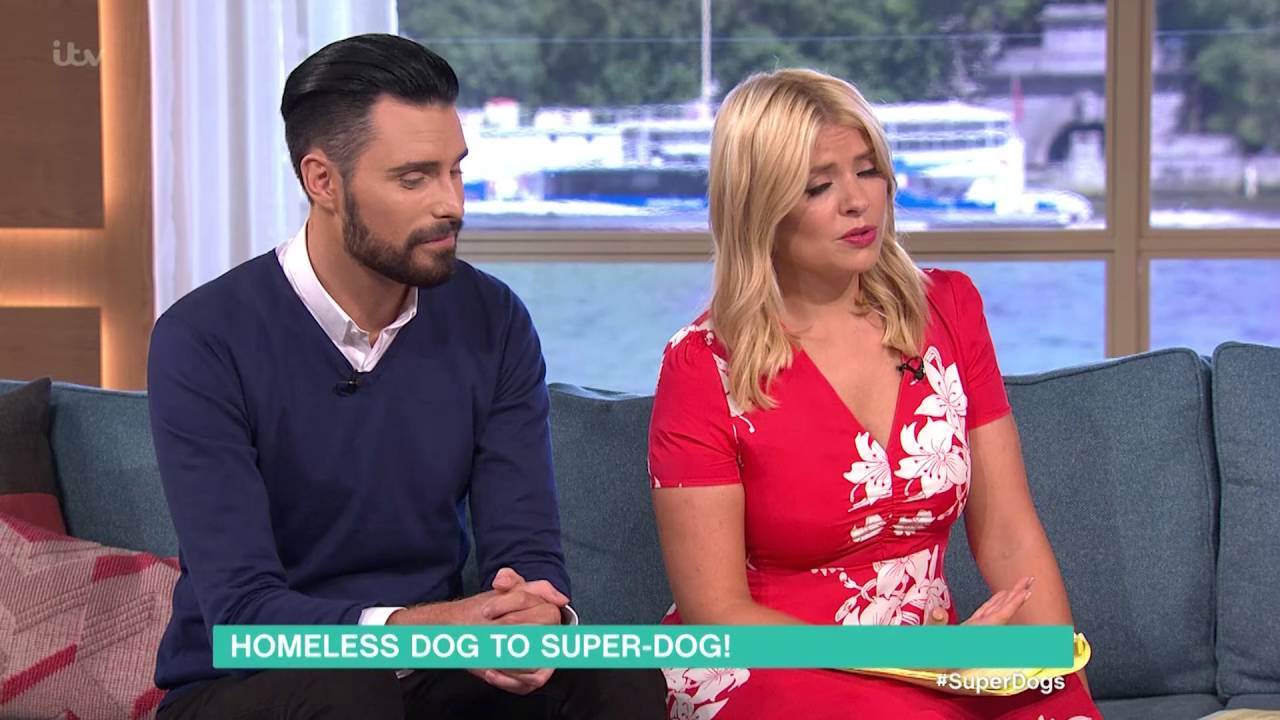 Homeless Dog To Super-Dog! | This Morning