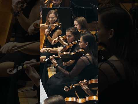 The Lord of the Rings – The Shire Theme by Prague Film Orchestra