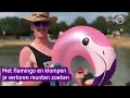 Met flamingo en klompen je verloren munten zoeken | Zwarte Cross 2019