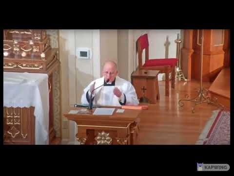 Što se dogodi kada sagriješimo ? - Otac Ripperger