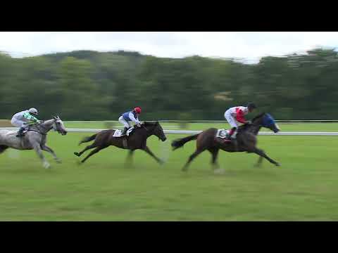 Dostihy Netolice 14. 8. 2022 - 2. dostih - Cena města Netolic