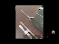 Best Technologia Meme Compilation