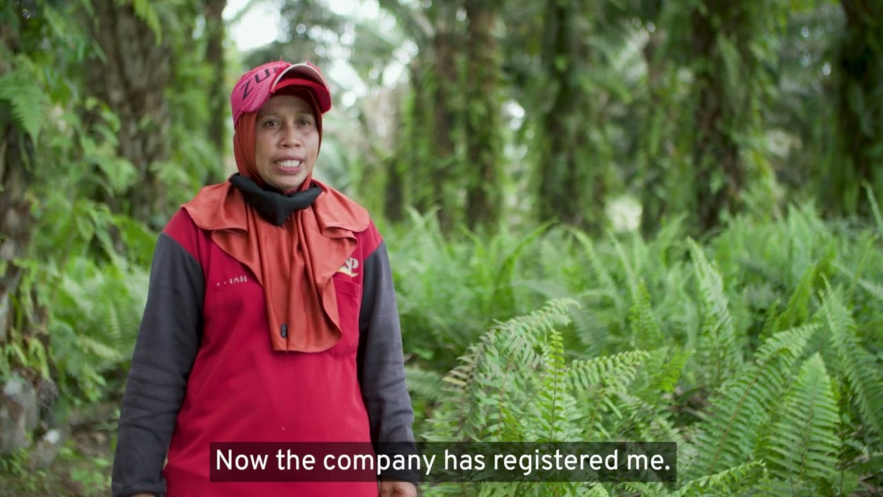 Story of change: Indonesia strengthening labour Inspection in palm oil sector