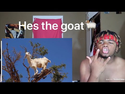 Lebron James 61 points vs Bobcats - Full Highlights (2014.03.03) Reaction!!!