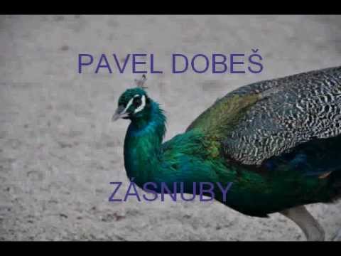 PAVEL DOBEŠ   ZÁSNUBY