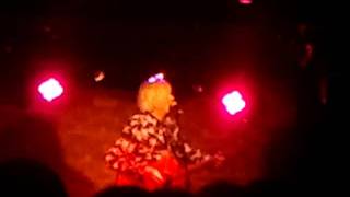 Robyn Hitchcock is hilarious in between songs / tuning elephants on Iphones