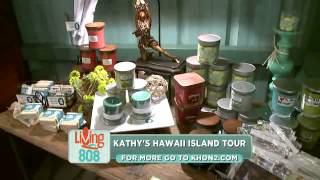 KHON2 News Hawaii Island with Kathy Muneno - recap