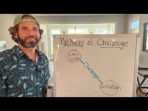 Gene Keys Activation Sequence: Pathway of Challenge