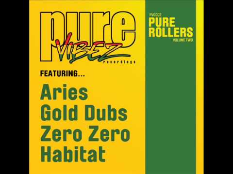 ARIES & GOLD DUBS - 90's DUB - PURE VIBEZ