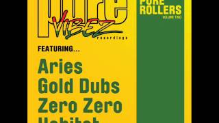 ARIES & GOLD DUBS - 90's DUB - PURE VIBEZ