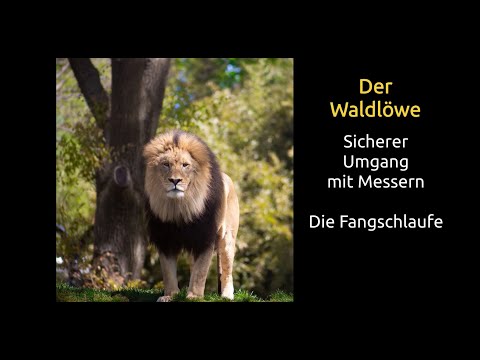 Sicherer Umgang mit dem Messer