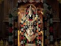 Thirumal Thiruvizha Devotional Trending Viralvideo Perumal Vainavam Thirupathi Saturday God