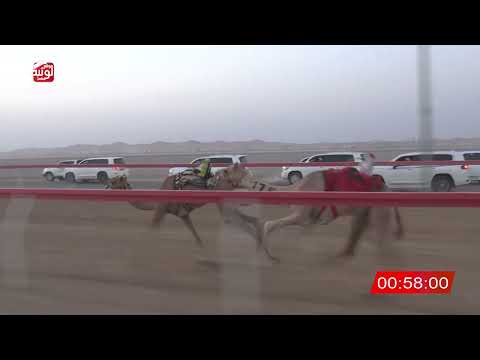  ش 1 (الشاهينيه) لـ سالم مبارك بن زعيتر العامري 2:10 ، شارة الصندوق 2026/07/13 فطامين الروضة