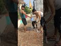 Village Bull Dog Ki Seva Dasi Bulldog Washing
