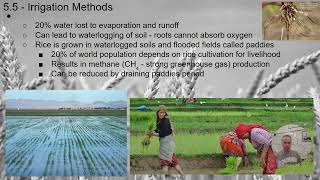 APES - 5.5 - Irrigation Methods