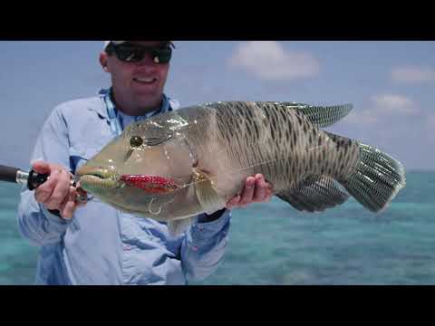 20 Years of R&D - Nomad Design Rods